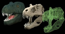 three images of dinosaur head 